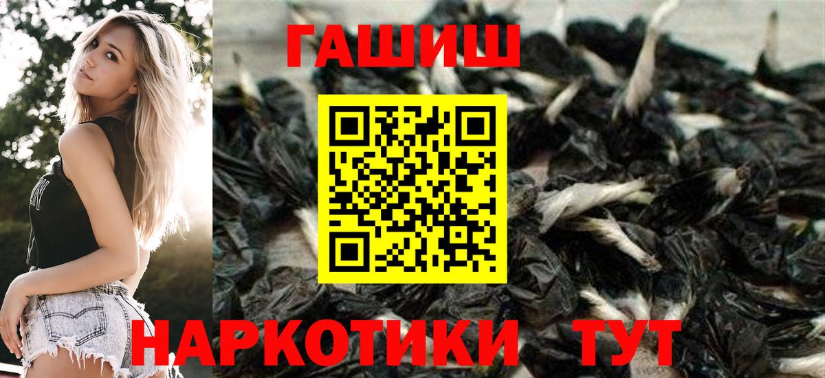 ГАШ Ice-O-Lator Нижний Тагил