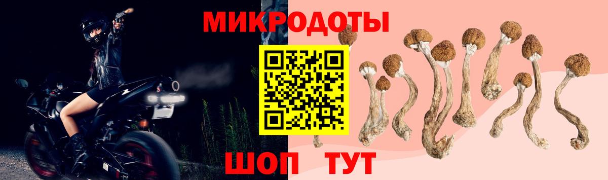 Галлюциногенные грибы Psilocybe  Псилоцибиновые грибы Cubensis  Вход с VPN  Нижний Тагил 